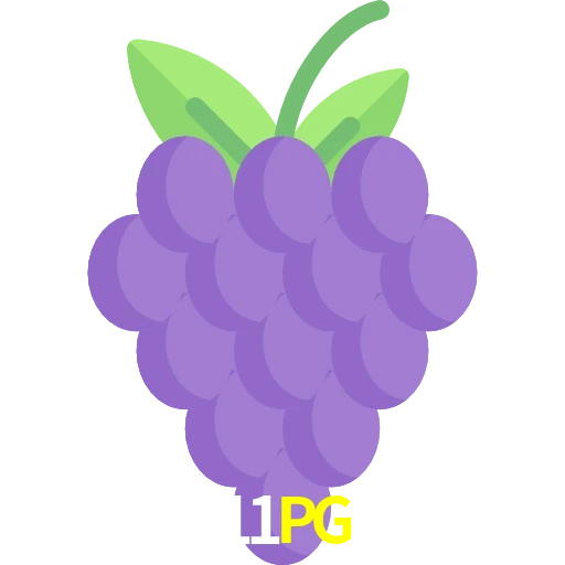 11PG